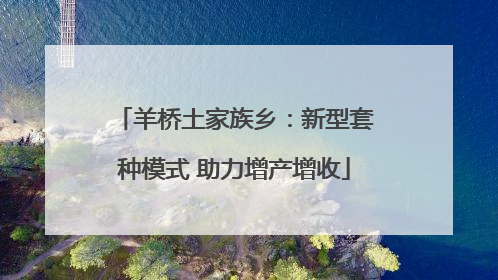 羊桥土家族乡：新型套种模式 助力增产增收