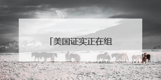 美国证实正在组建特别工作组，以监控中东局势