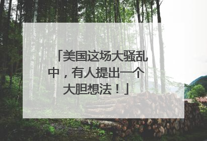 美国这场大骚乱中，有人提出一个大胆想法！