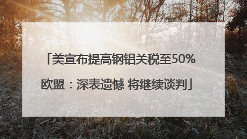美宣布提高钢铝关税至50% 欧盟：深表遗憾 将继续谈判