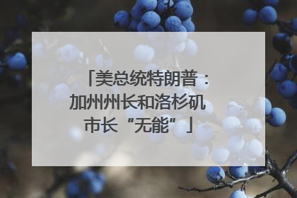美总统特朗普：加州州长和洛杉矶市长“无能”