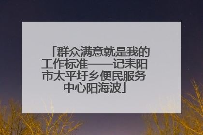 群众满意就是我的工作标准——记耒阳市太平圩乡便民服务中心阳海波