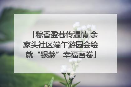 粽香盈巷传温情 余家头社区端午游园会绘就“银龄”幸福画卷