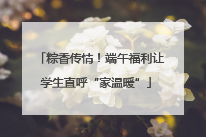 粽香传情！端午福利让学生直呼“家温暖”