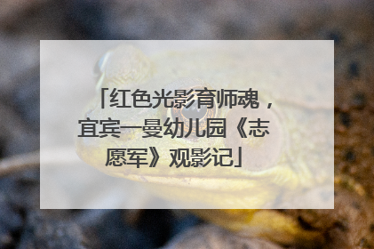 红色光影育师魂，宜宾一曼幼儿园《志愿军》观影记