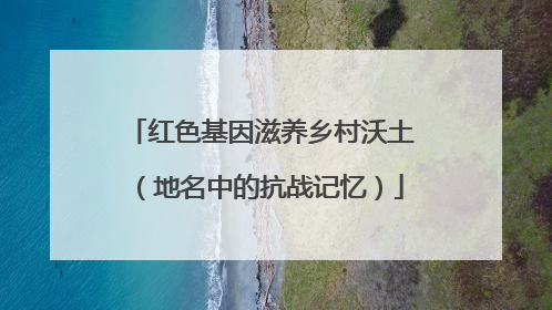 红色基因滋养乡村沃土（地名中的抗战记忆）