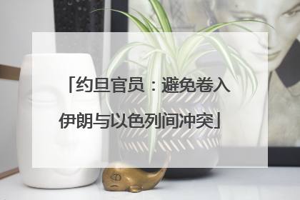 约旦官员：避免卷入伊朗与以色列间冲突