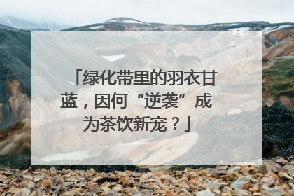绿化带里的羽衣甘蓝，因何“逆袭”成为茶饮新宠？