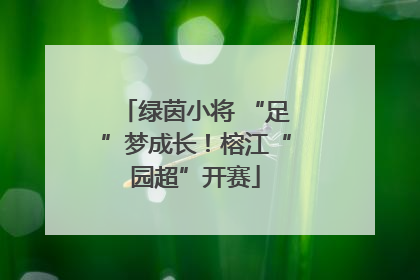 绿茵小将 “足”梦成长！榕江“园超”开赛