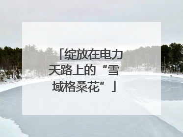 绽放在电力天路上的“雪域格桑花”