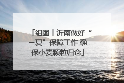 组图丨沂南做好“三夏”保障工作 确保小麦颗粒归仓