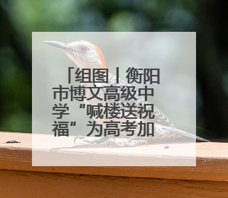 组图丨衡阳市博文高级中学“喊楼送祝福”为高考加油