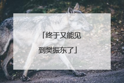 终于又能见到樊振东了