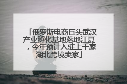 俄罗斯电商巨头武汉产业孵化基地落地江夏，今年预计入驻上千家湖北跨境卖家