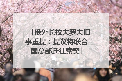 俄外长拉夫罗夫旧事重提：提议将联合国总部迁往索契