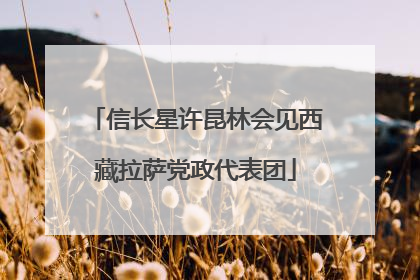 信长星许昆林会见西藏拉萨党政代表团