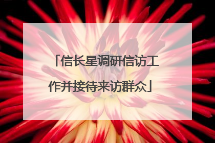 信长星调研信访工作并接待来访群众