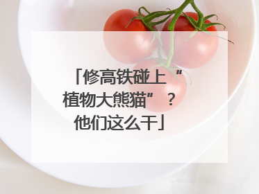 修高铁碰上“植物大熊猫”？他们这么干