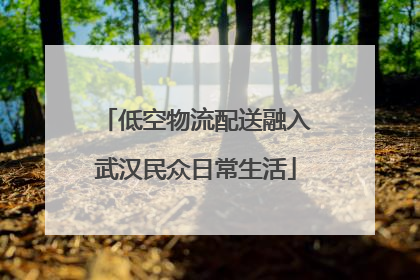 低空物流配送融入武汉民众日常生活