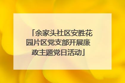 余家头社区安胜花园片区党支部开展廉政主题党日活动