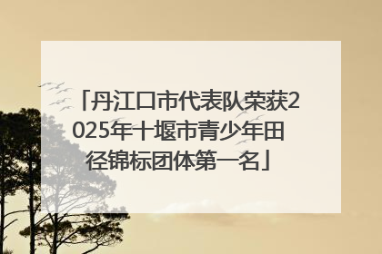 丹江口市代表队荣获2025年十堰市青少年田径锦标团体第一名