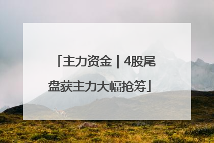 主力资金｜4股尾盘获主力大幅抢筹