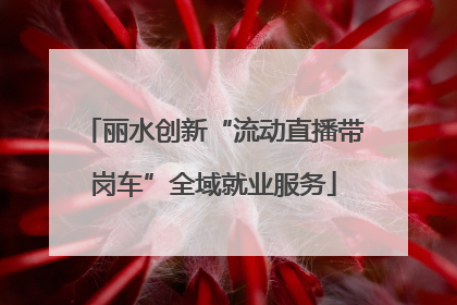 丽水创新“流动直播带岗车”全域就业服务