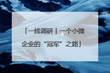 一线调研丨一个小微企业的“冠军”之路