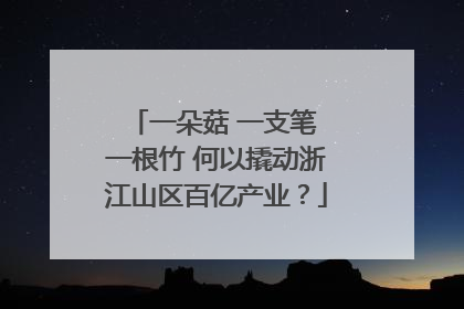 一朵菇 一支笔 一根竹 何以撬动浙江山区百亿产业？