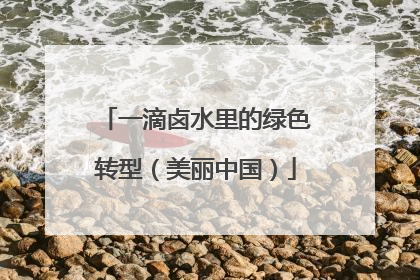 一滴卤水里的绿色转型（美丽中国）