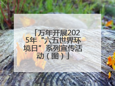 万年开展2025年“六五世界环境日”系列宣传活动（图）
