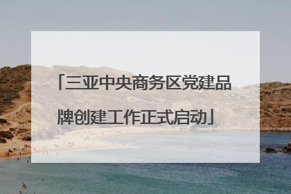 三亚中央商务区党建品牌创建工作正式启动