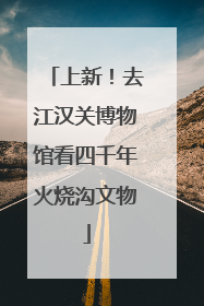 上新！去江汉关博物馆看四千年火烧沟文物