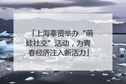 上海奉贤举办“萌娃社交”活动，为青春经济注入新活力