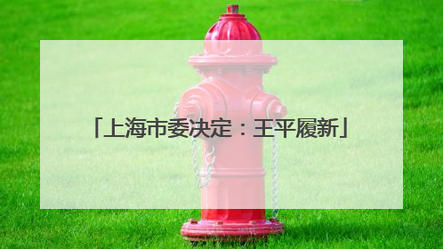 上海市委决定：王平履新