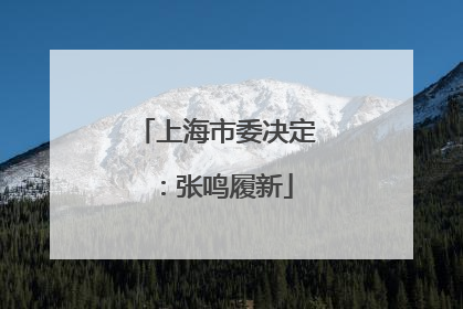 上海市委决定：张鸣履新