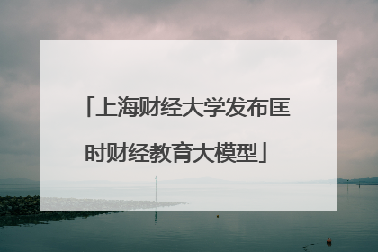 上海财经大学发布匡时财经教育大模型