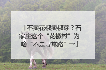 不卖花椒卖椒芽？石家庄这个“花椒村”为啥“不走寻常路”→