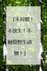 不投喂！不放生！不触摸野生动物！