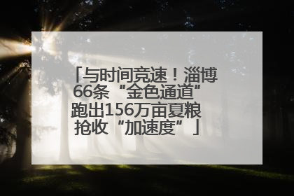 与时间竞速！淄博66条“金色通道”跑出156万亩夏粮抢收“加速度”