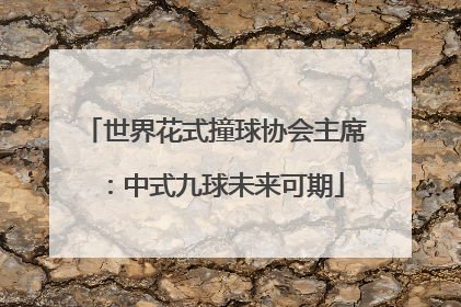 世界花式撞球协会主席：中式九球未来可期