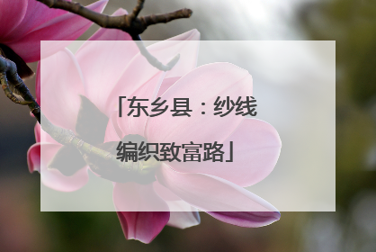 东乡县：纱线编织致富路