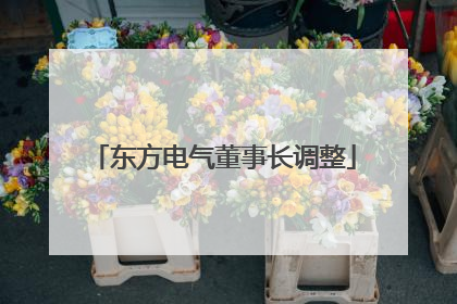 东方电气董事长调整