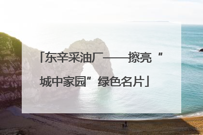 东辛采油厂——擦亮“城中家园”绿色名片