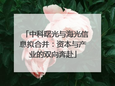 中科曙光与海光信息拟合并：资本与产业的双向奔赴