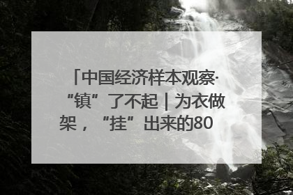 中国经济样本观察·“镇”了不起｜为衣做架，“挂”出来的80亿元“衣架产业”