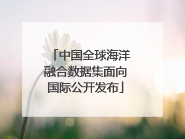 中国全球海洋融合数据集面向国际公开发布