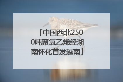 中国西北2500吨聚氯乙烯经湖南怀化首发越南