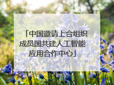 中国邀请上合组织成员国共建人工智能应用合作中心