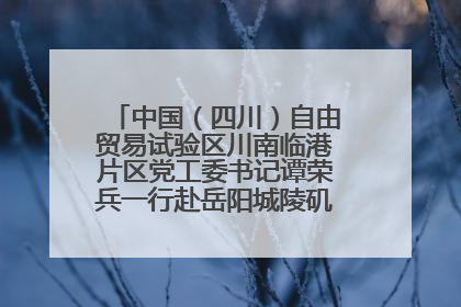 中国（四川）自由贸易试验区川南临港片区党工委书记谭荣兵一行赴岳阳城陵矶综保区考察